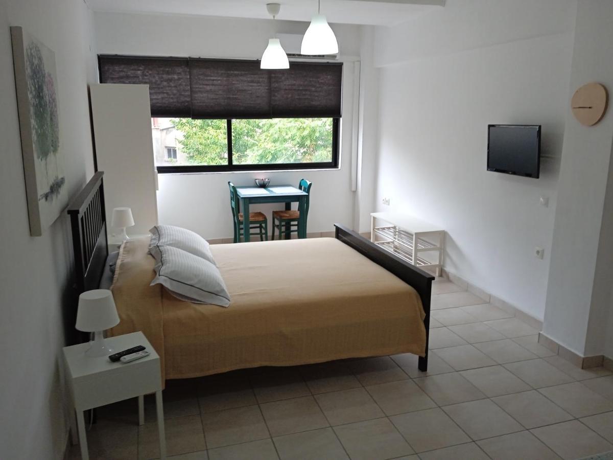 Dimitris Studio Apartman Joánina Kültér fotó